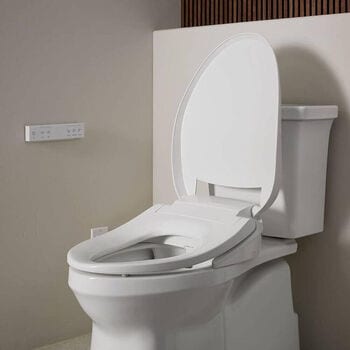 Bidets and Toilet Accessories